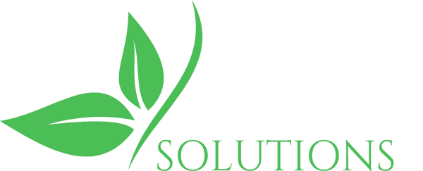 Building Financial Solutions, Inc. Home
