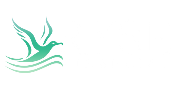 RYSE Financial | Opinder Marwah Home
