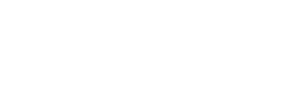 Wolf Tree Wealth Management Home