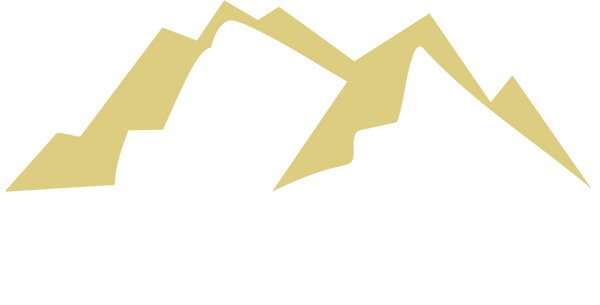 Williams and Novak Tax Partners Home