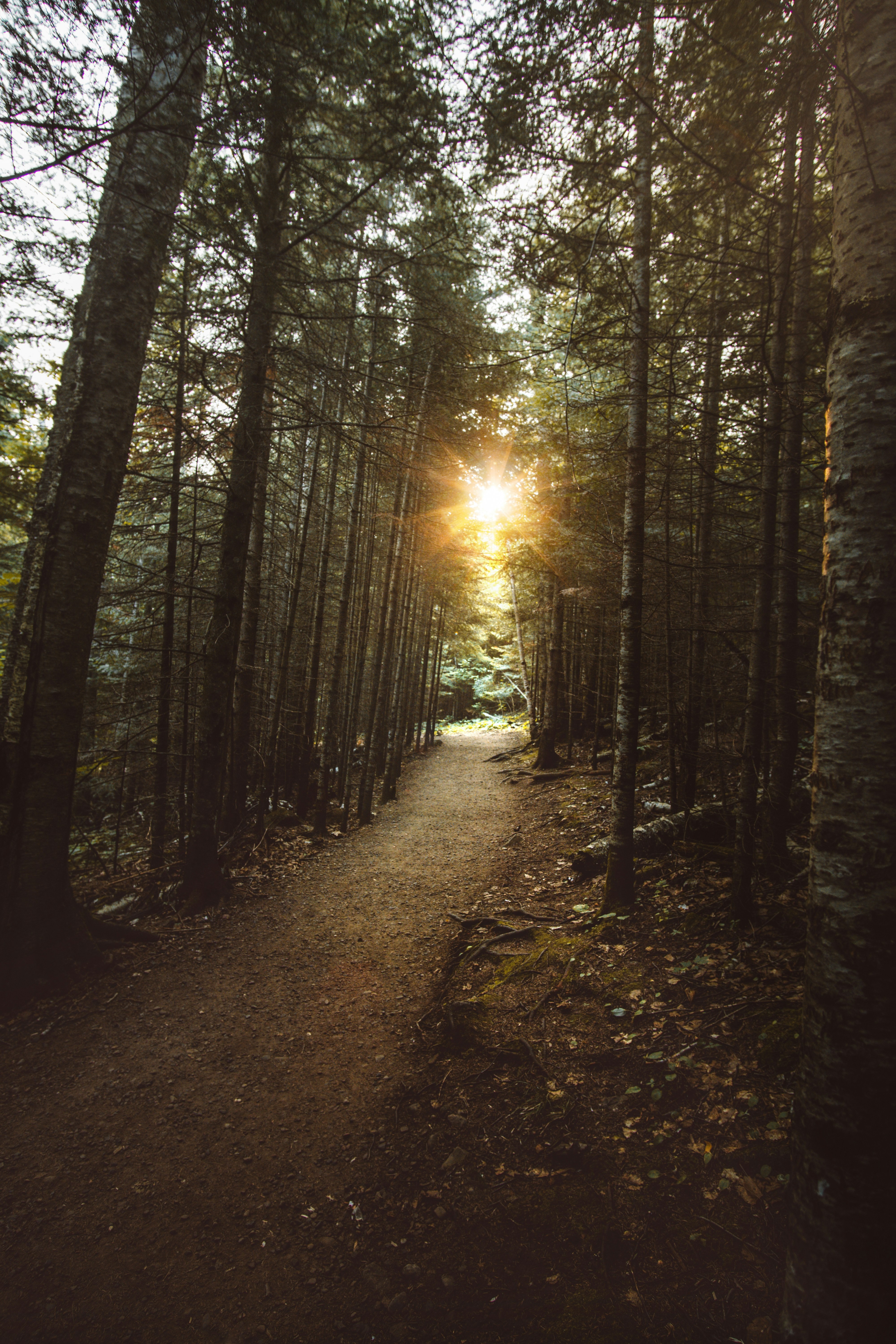 Guiding Your Financial Journey with Confidence