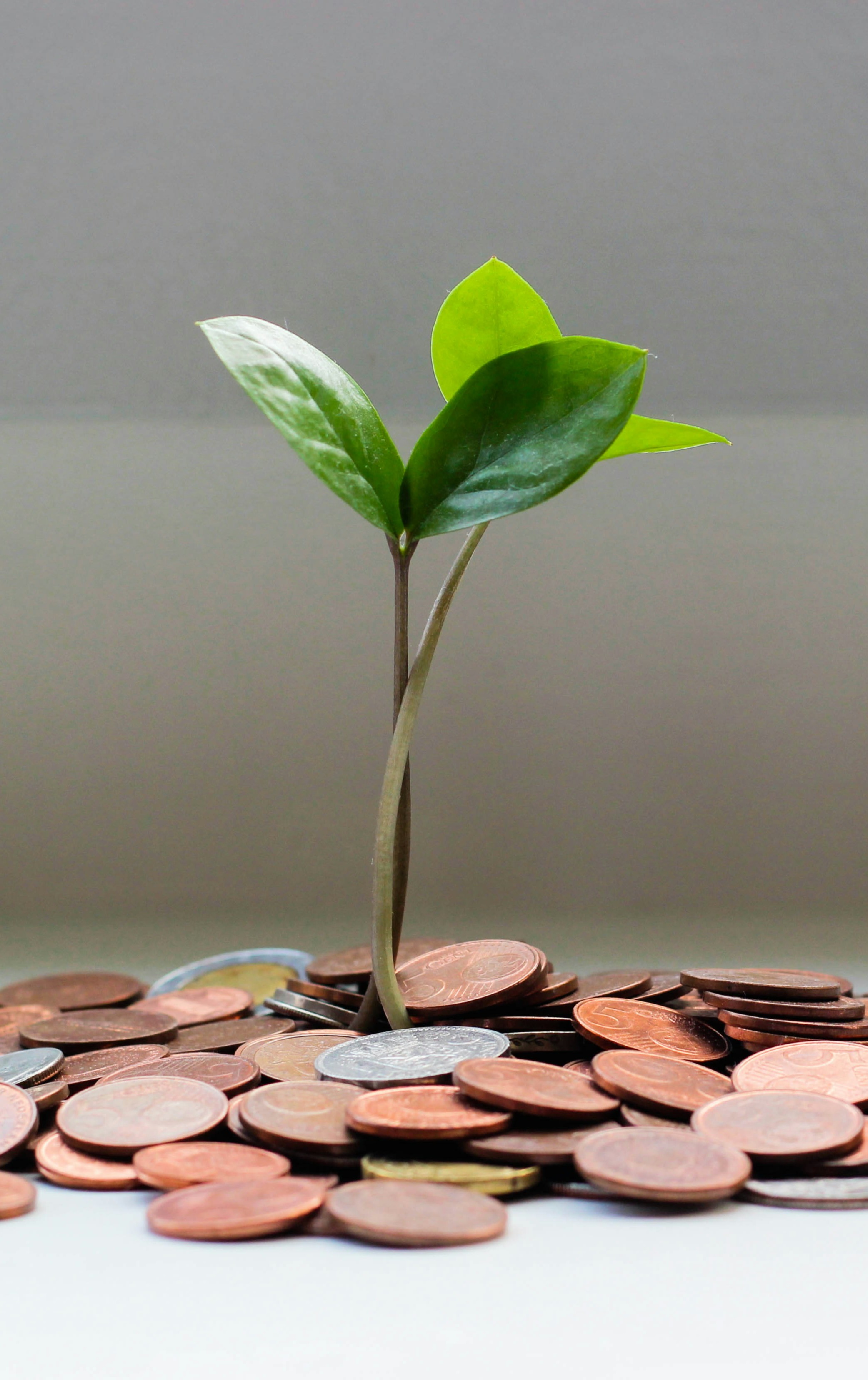 ... no copy here ...