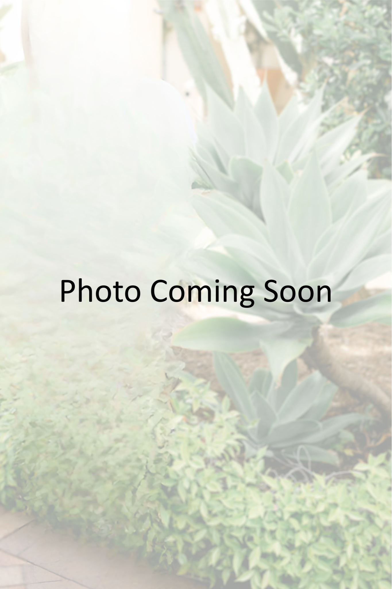 Victoria Hashiguchi<br/>