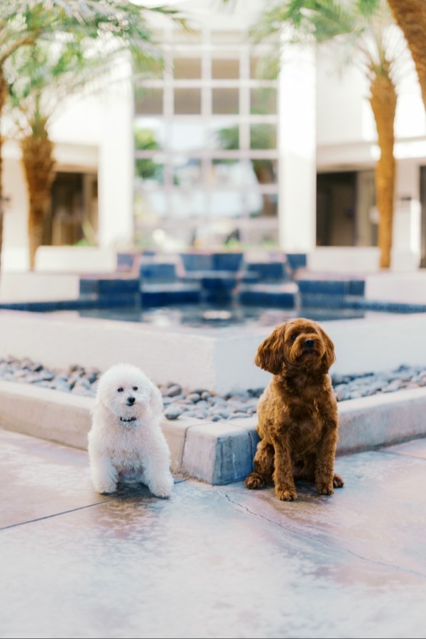 A Personal Touch<br/>