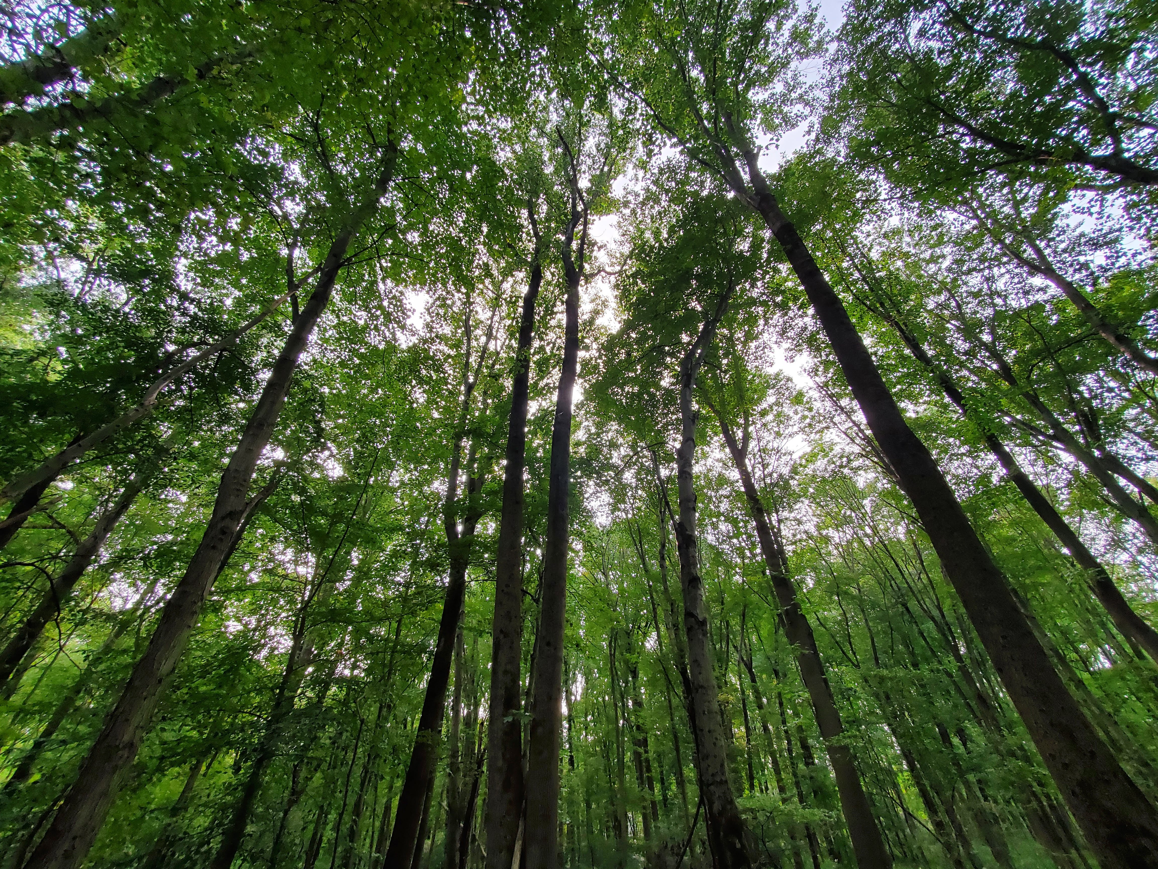 Welcome to Montrose Park Advisors