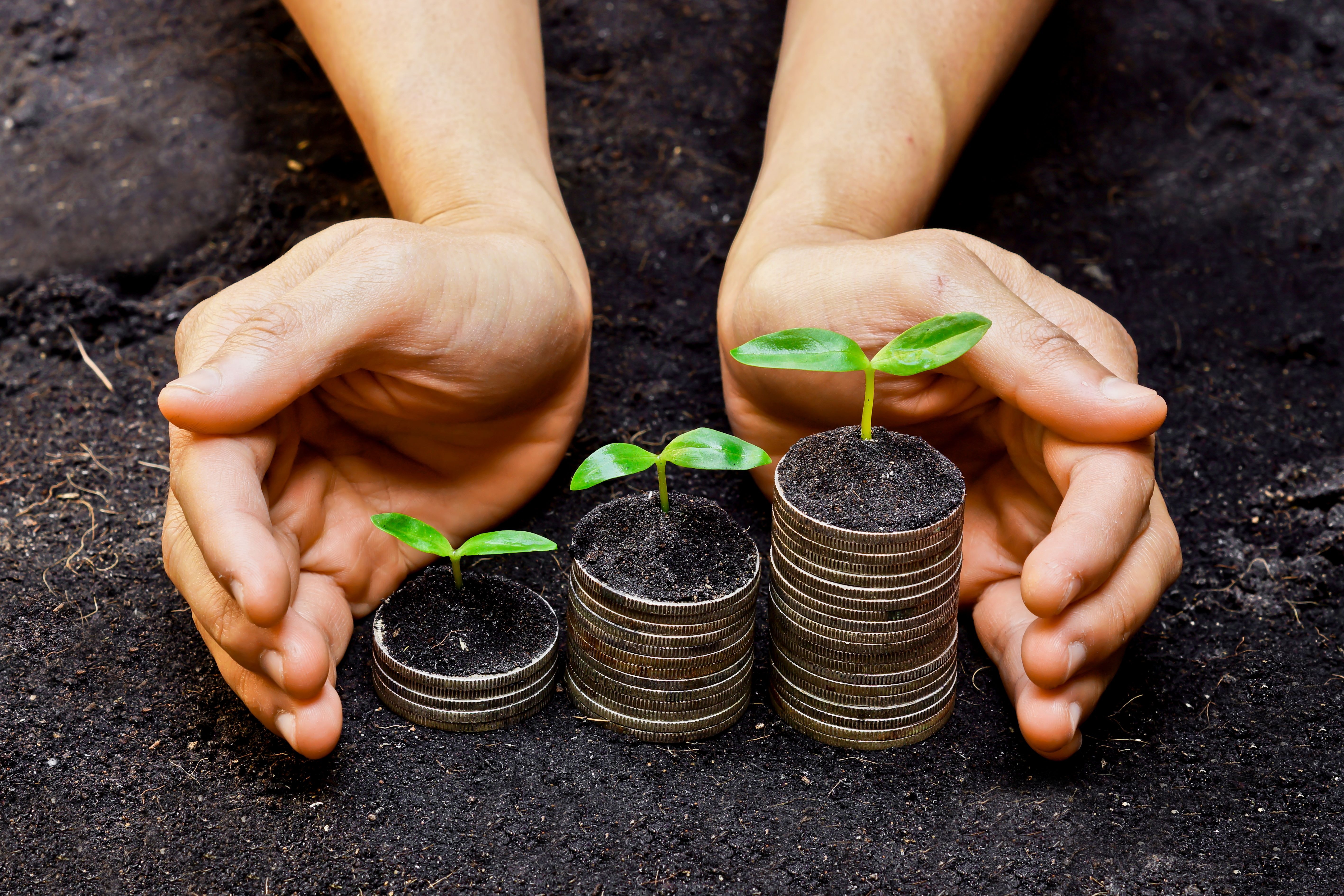 Portfolio Management