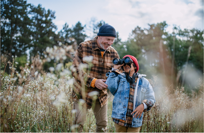 Estate Planning Strategies
