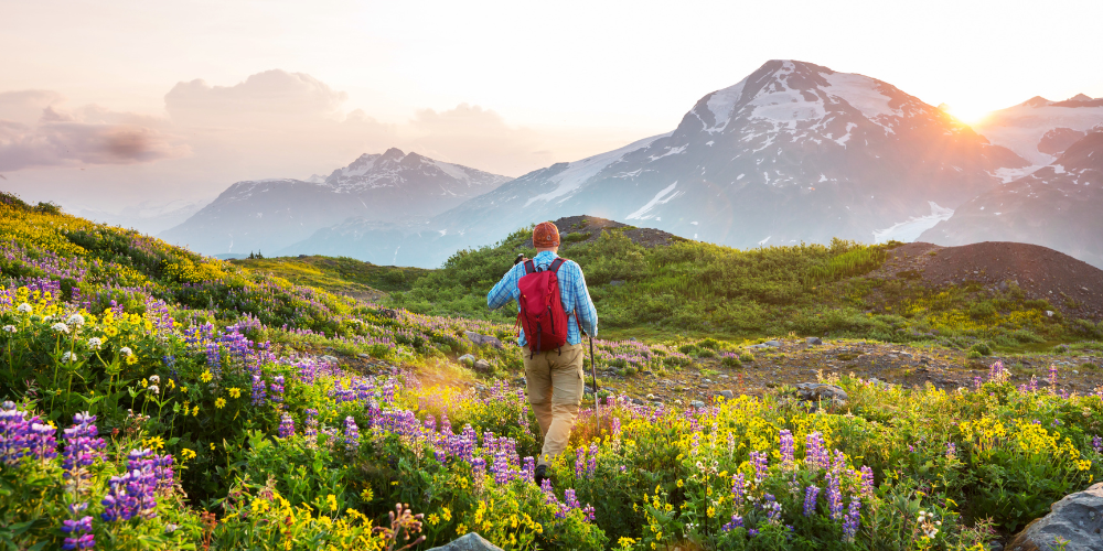 Edelson Wealth Management's Philosophy