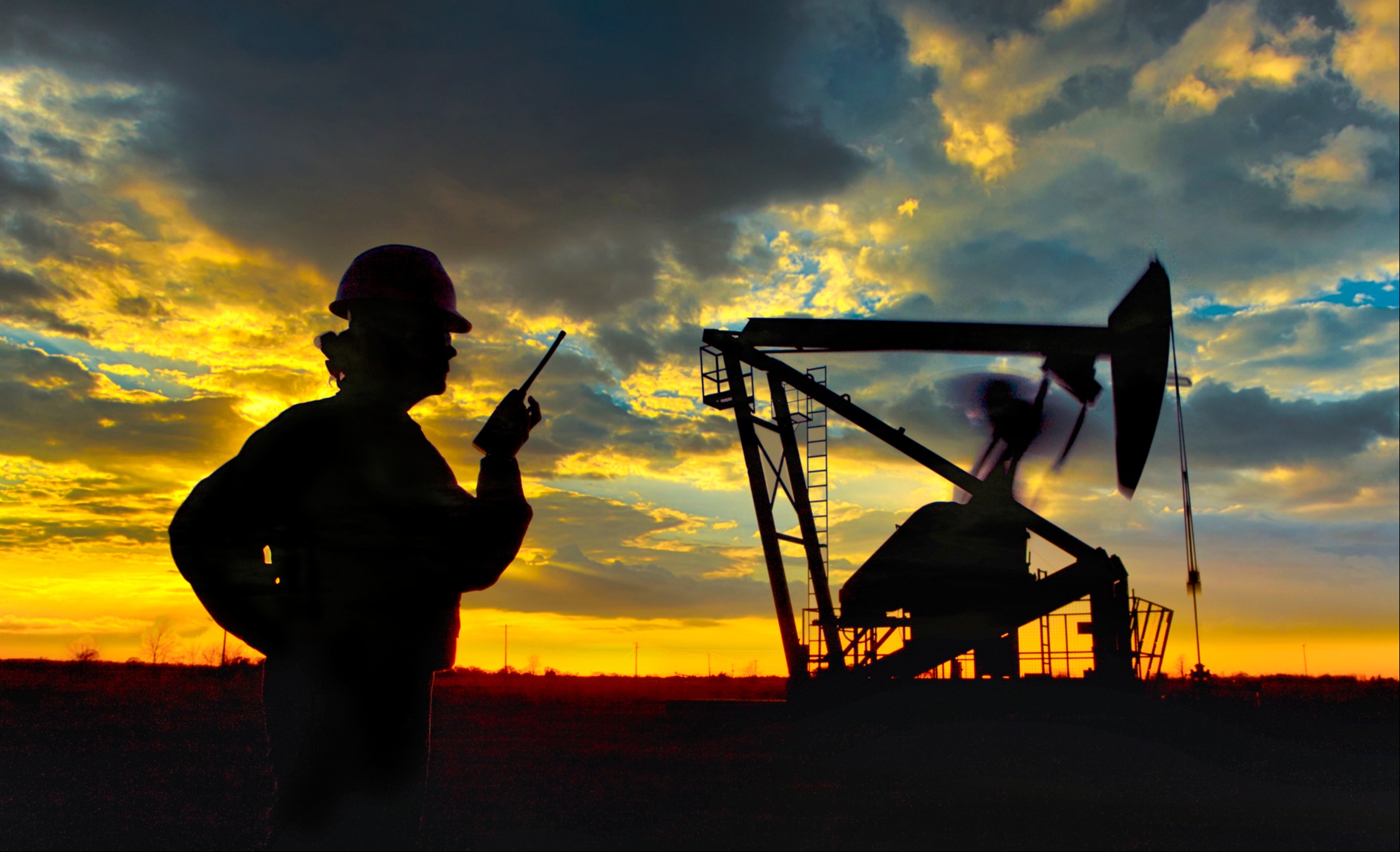 Hands-on professionals