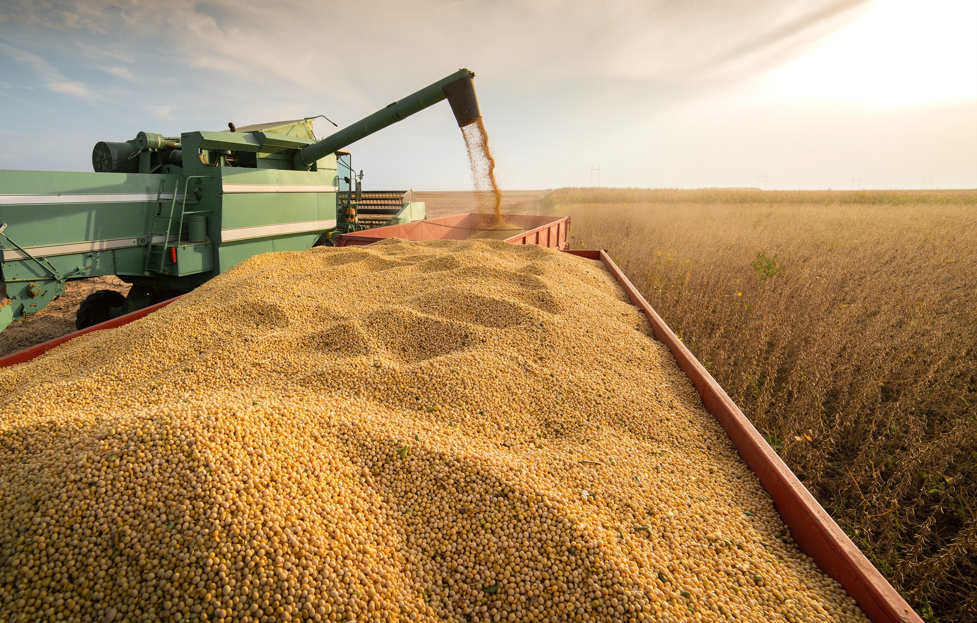 Agriculture