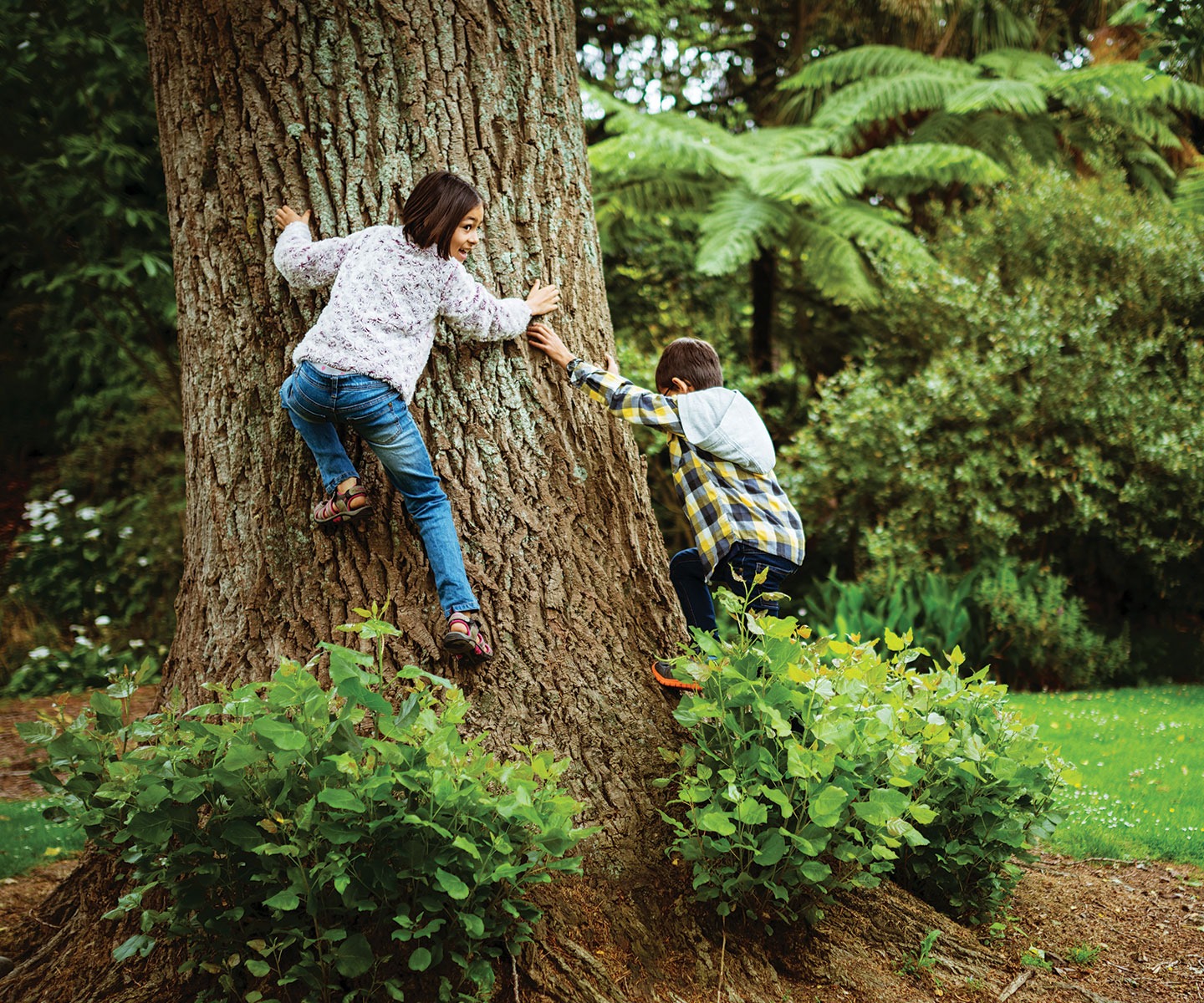 Cultivate Healthy Growth<br/>