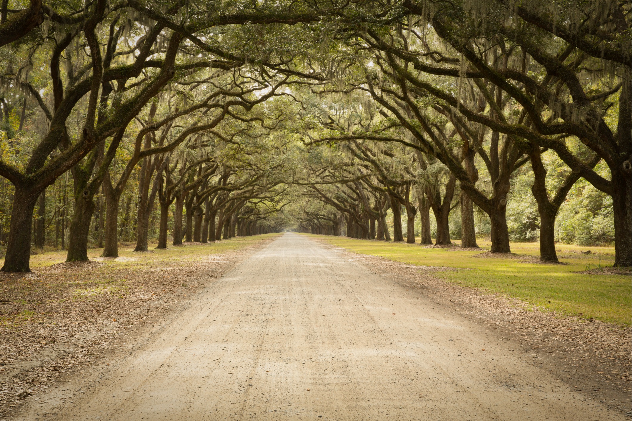 Where do you want your financial roadmap to take you?