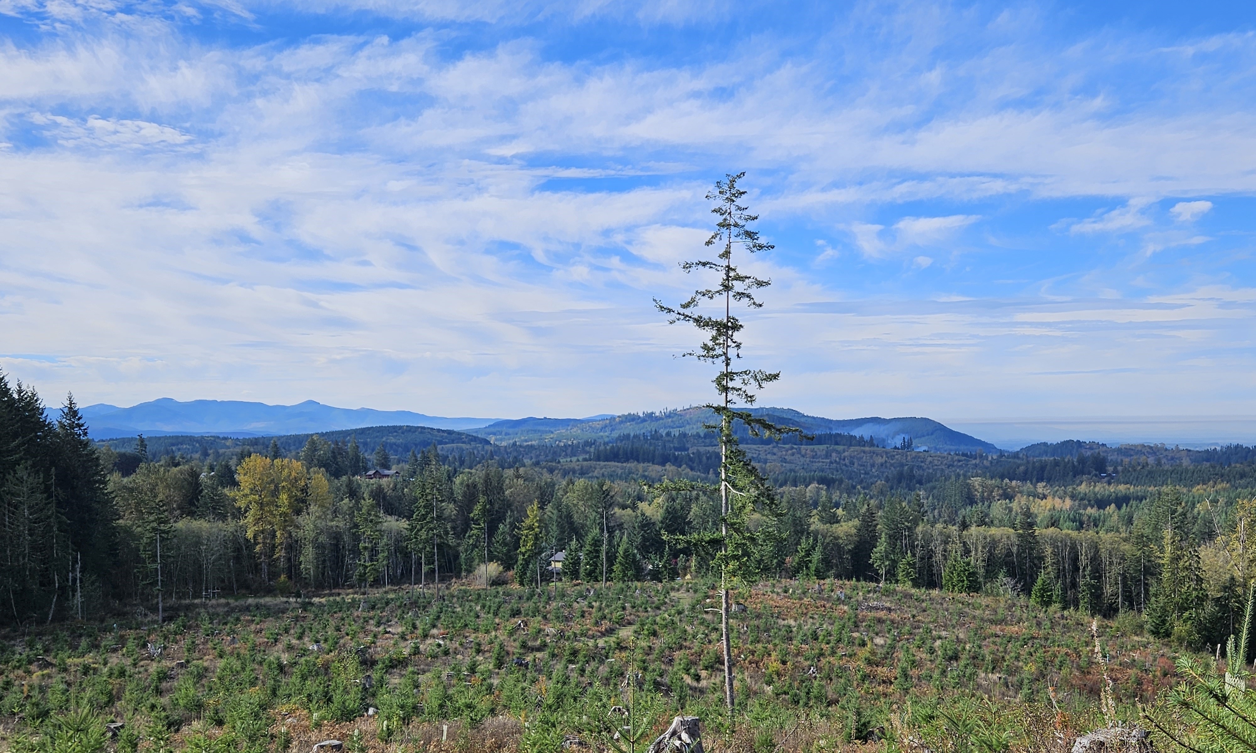 Let us help answer your questions. We are happy to meet with you.