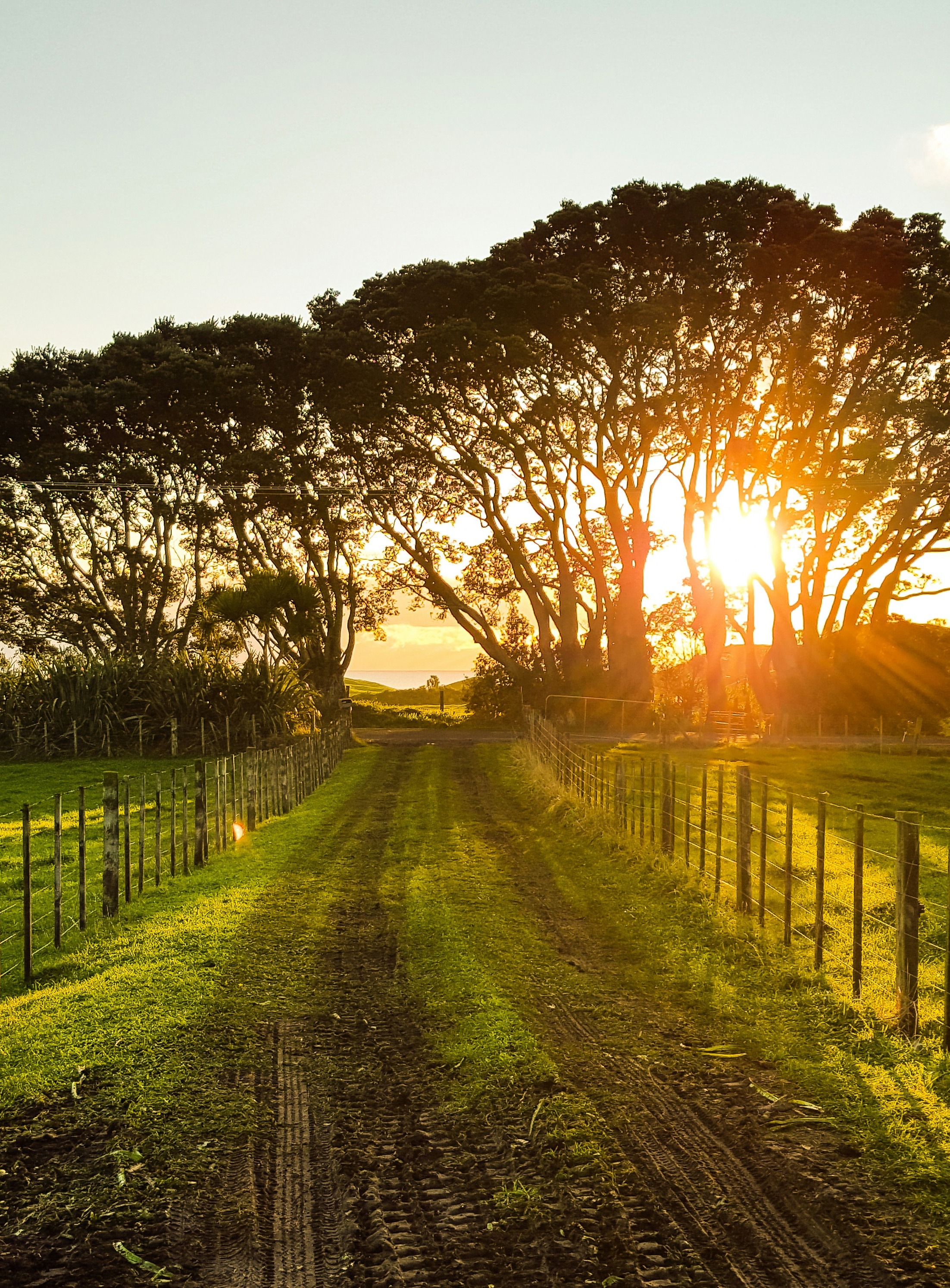 ... no copy here ...