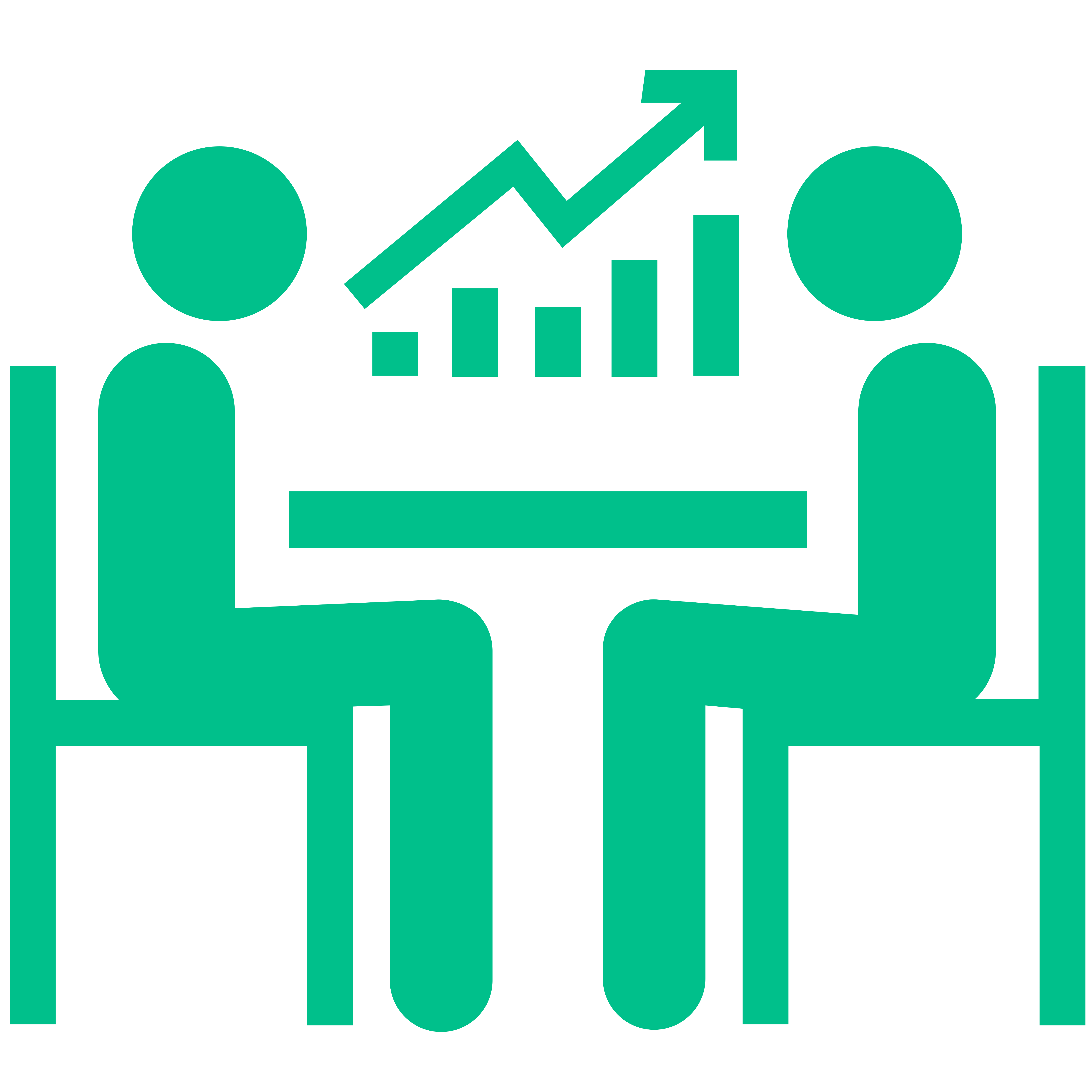 1. Introductory Meeting