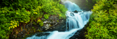 Waterfall in a forest