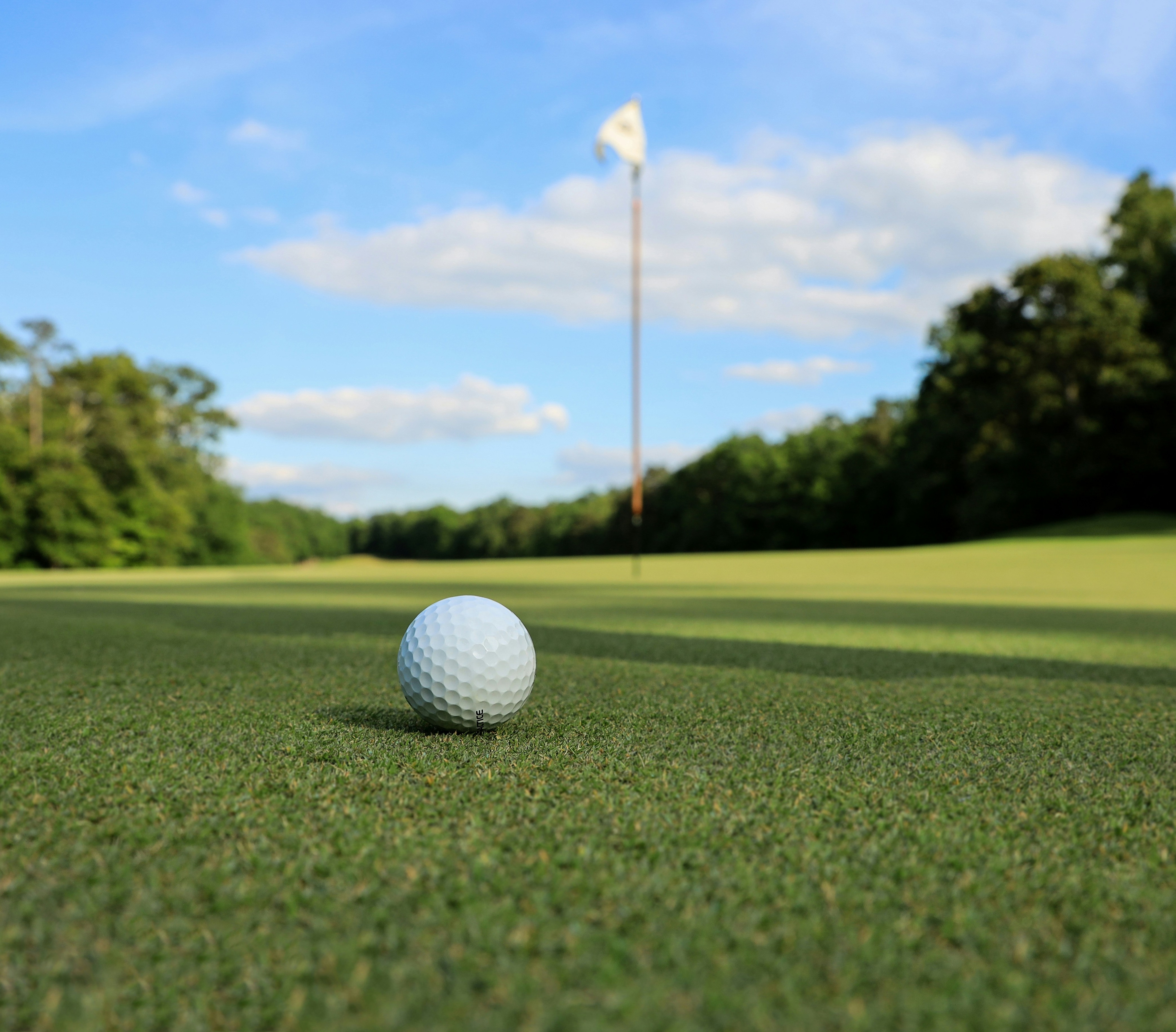 Thank you for participating in the 2026 WESTMARC Golf Classic!