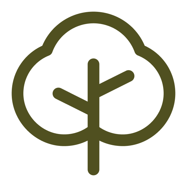 Estate Planning