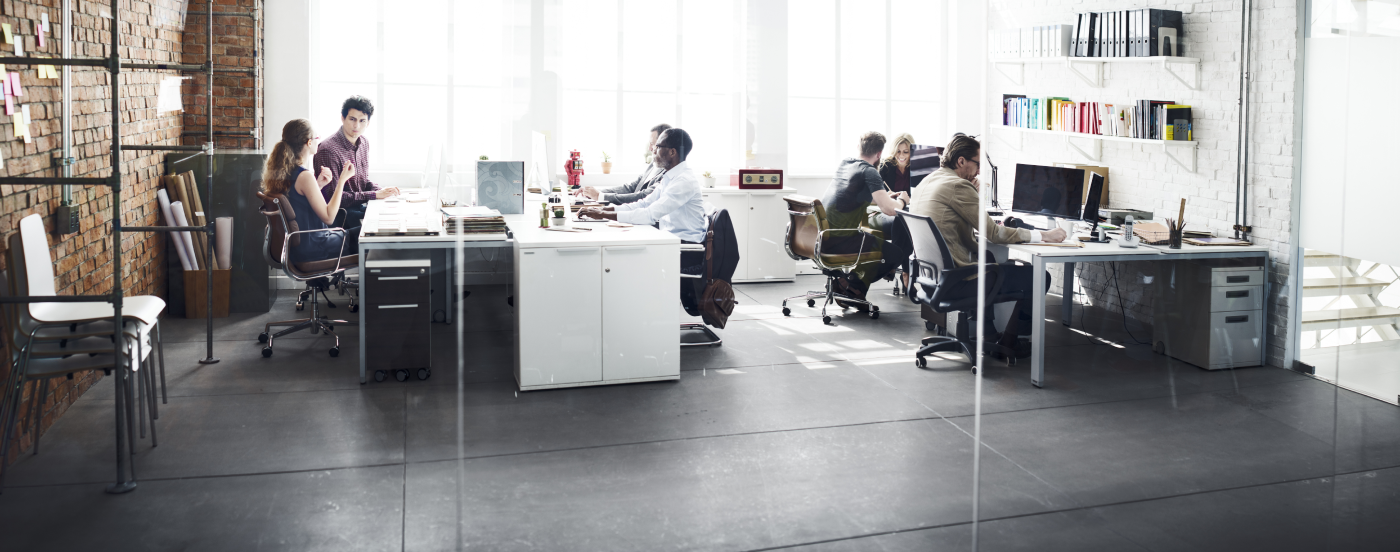 A group of people working in a well lit office.