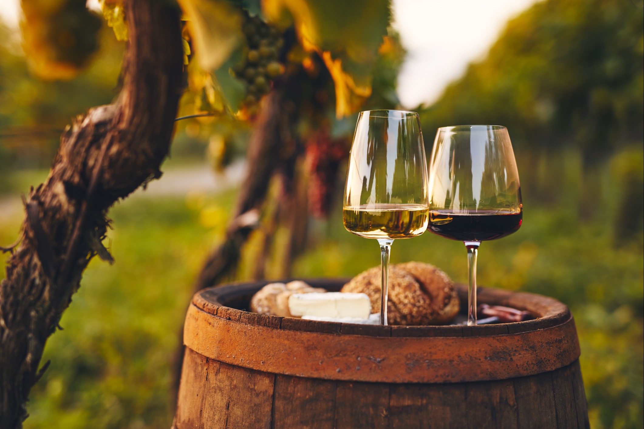Vineyards & Wineries