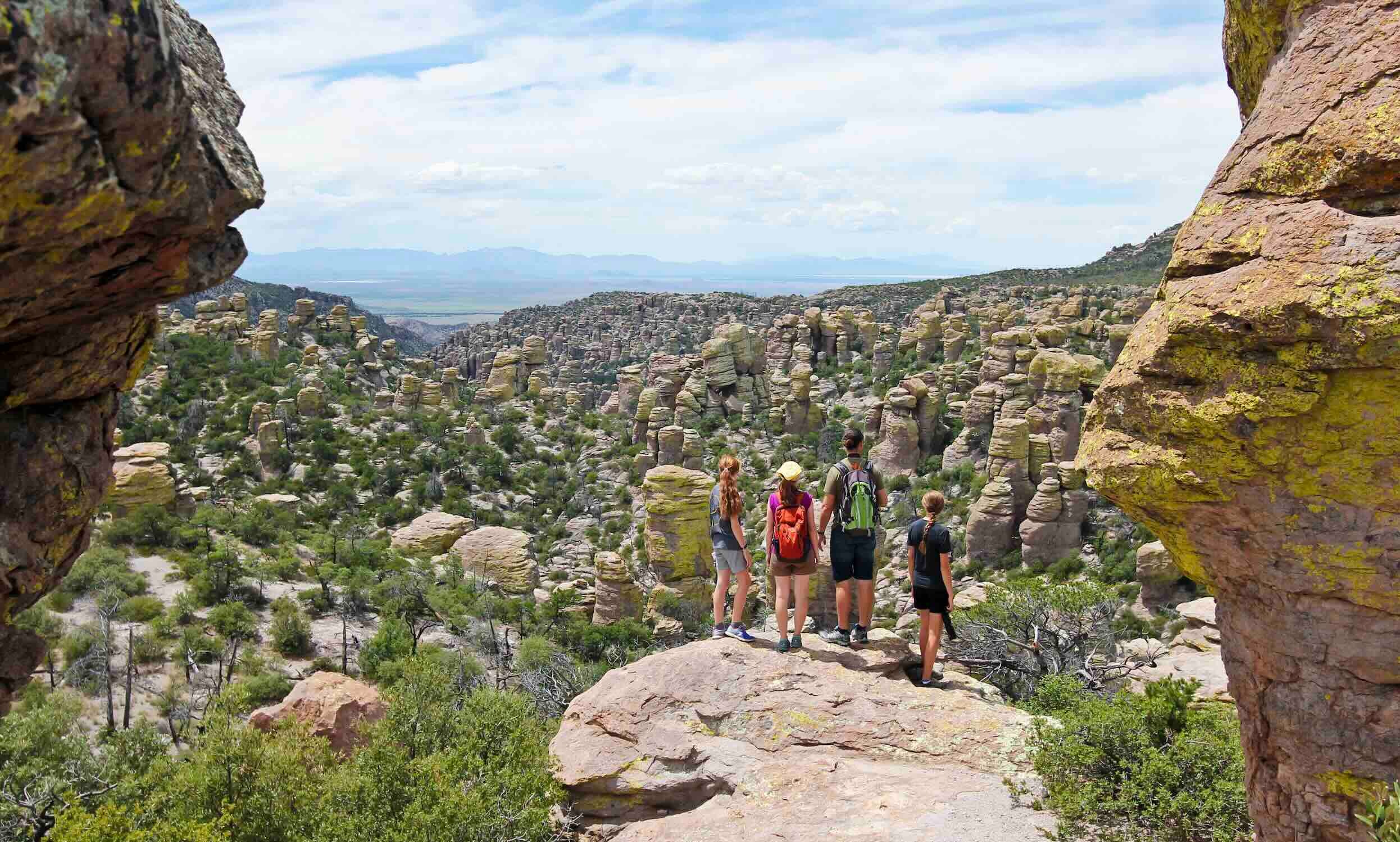 Where Tax Strategy Meets Wealth Management<br/>