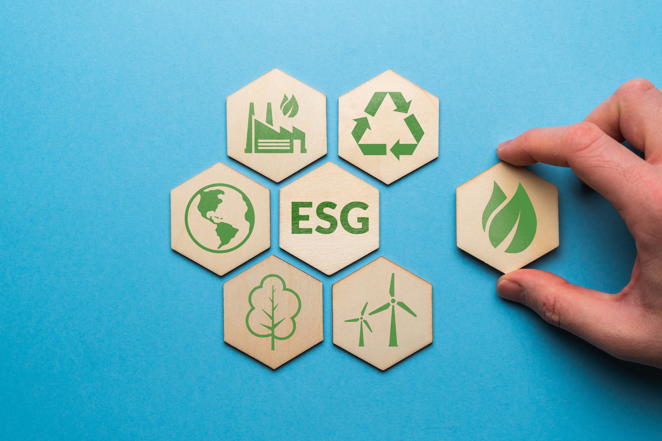 ESG Investors