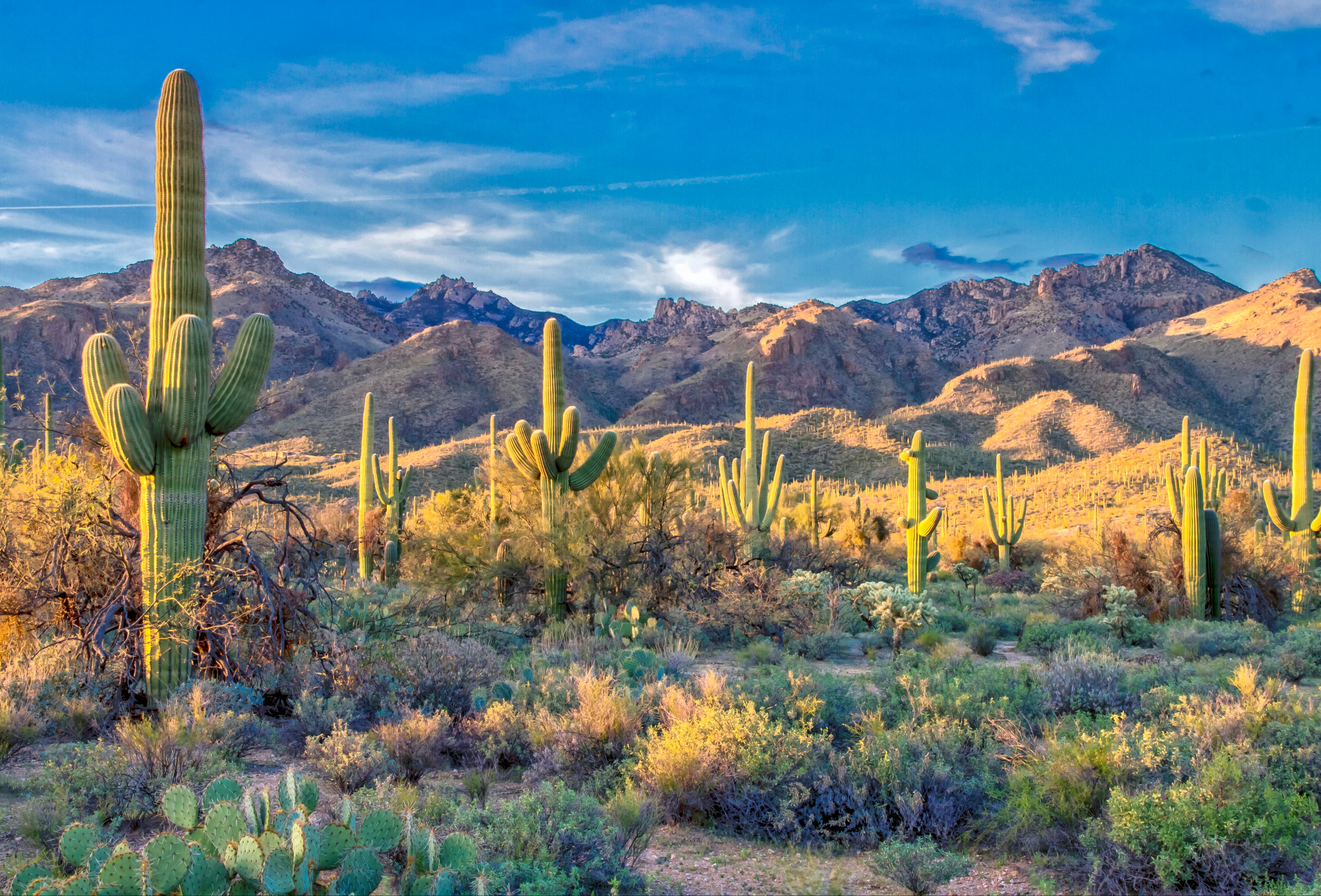 Southeast Valley Tempe Office