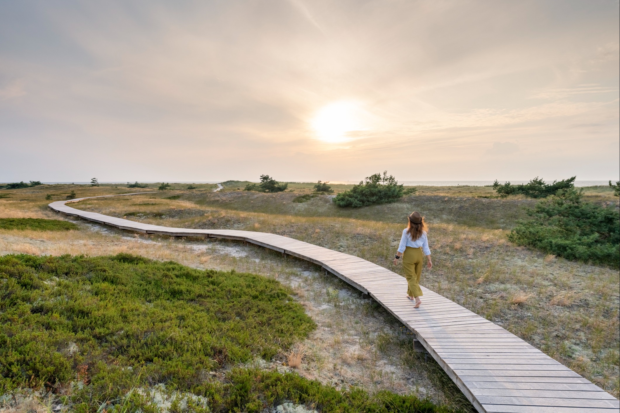 Purposeful Stewardship. Thoughtful Planning. Enduring Impact.