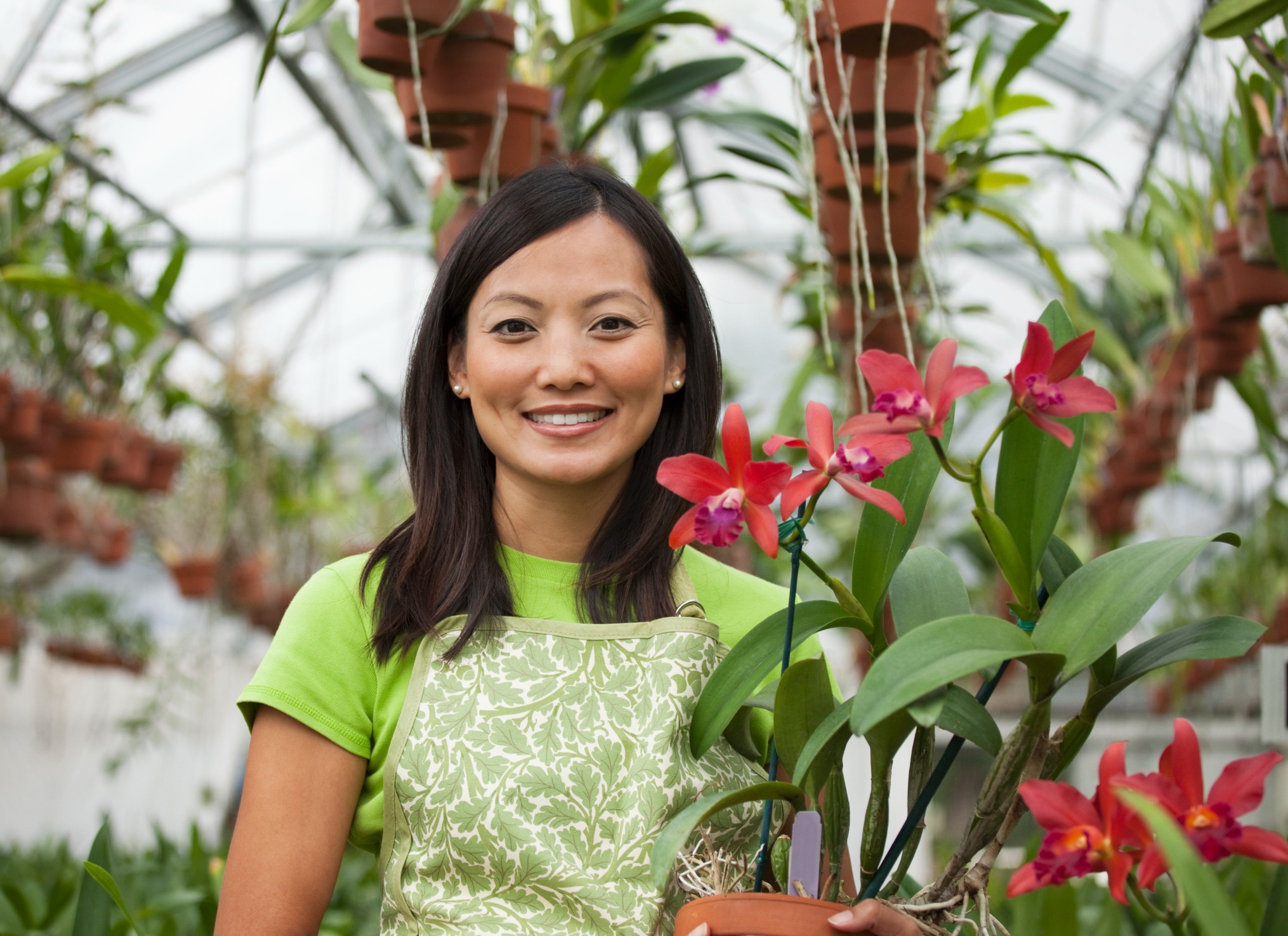 Small Business Owner Guidance <br/>