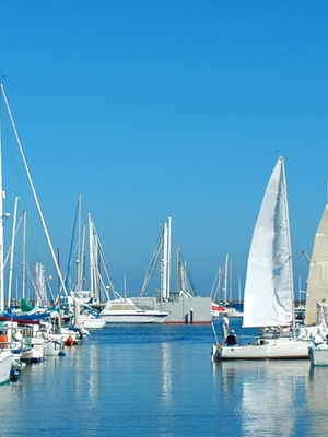 Multiple sailing boats in water
