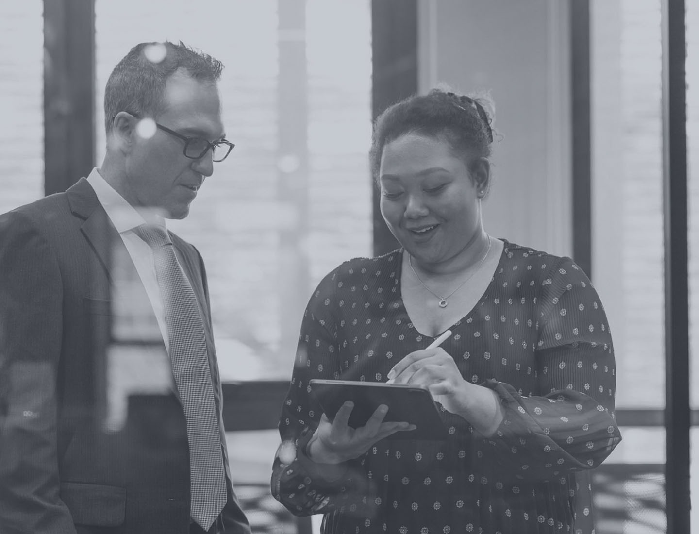 Investigating Your Investment Options