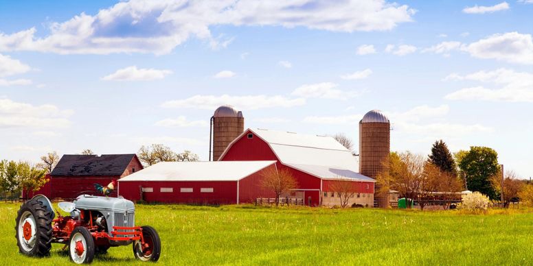 Agribusiness & Farms