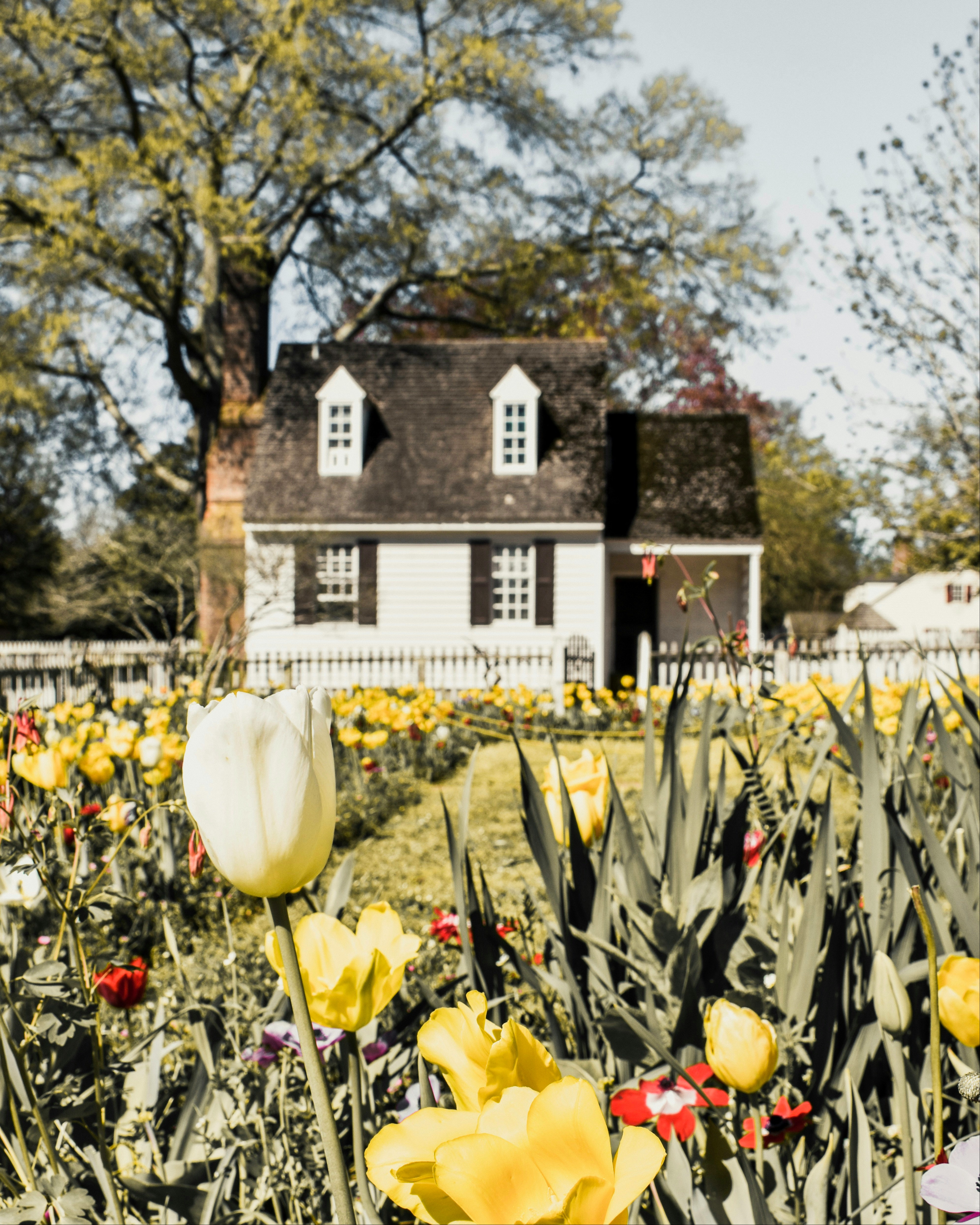 A Financial Planning Partner in Blacksburg, Virginia