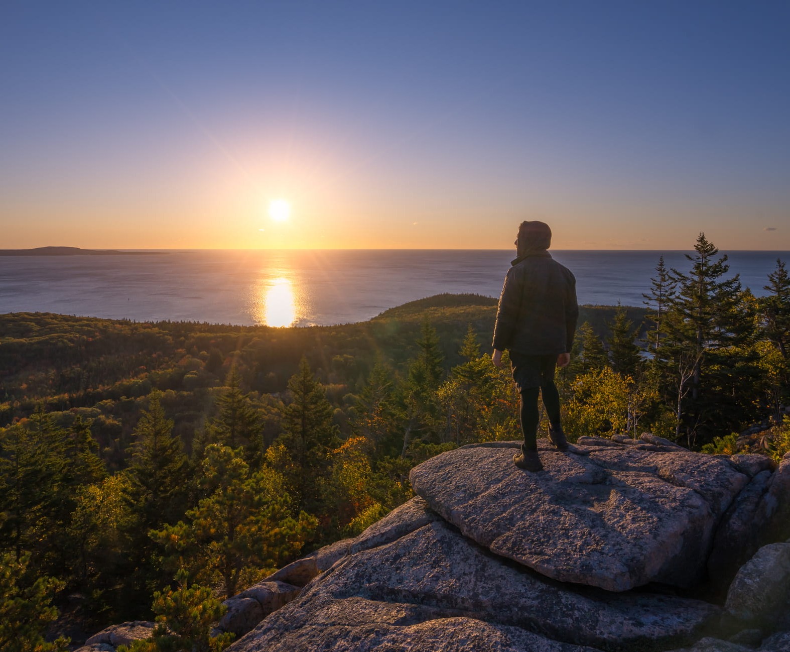 Financial freedom is the ultimate form of empowerment, allowing you to design your life according to your own values.