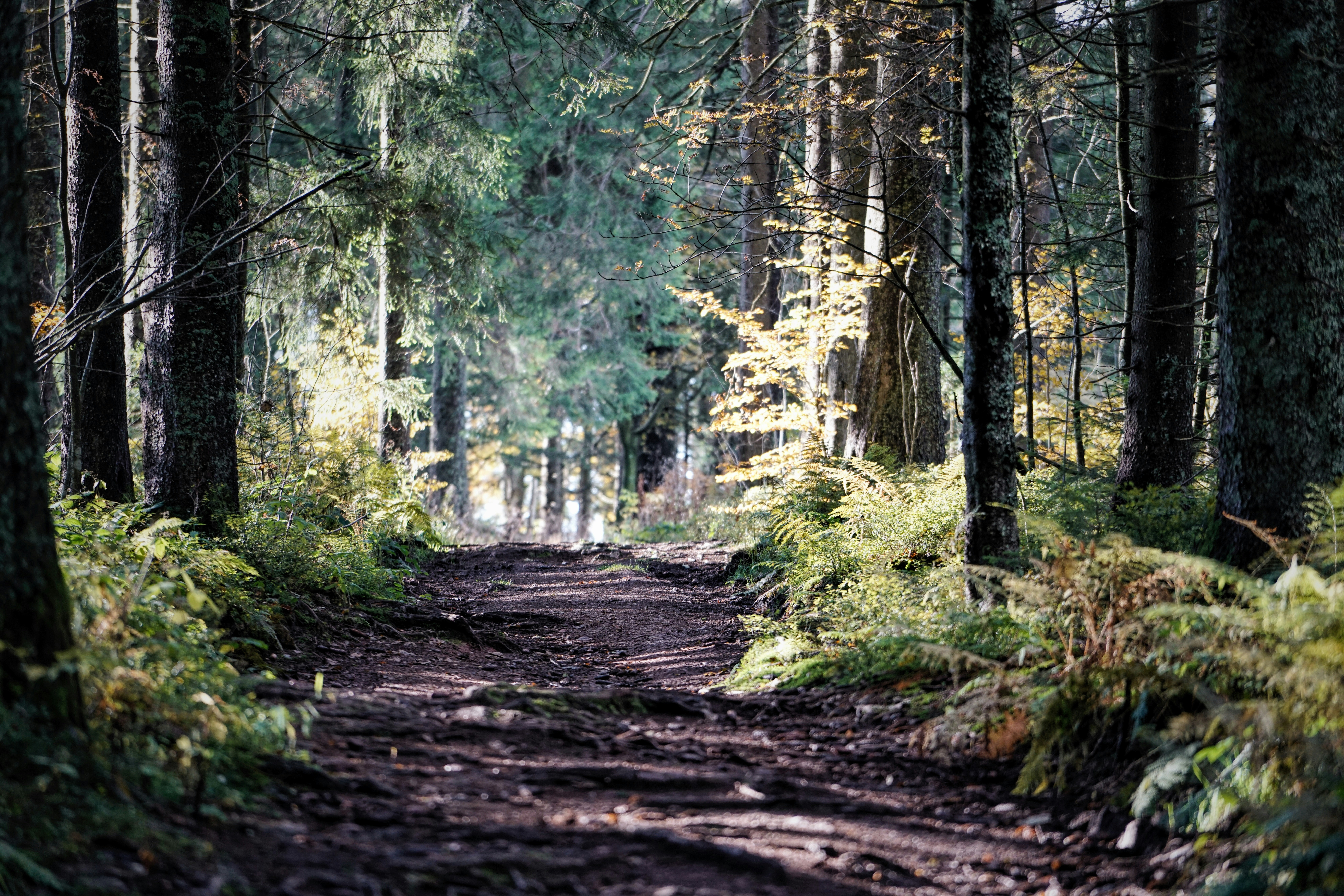 Take charge of your financial life