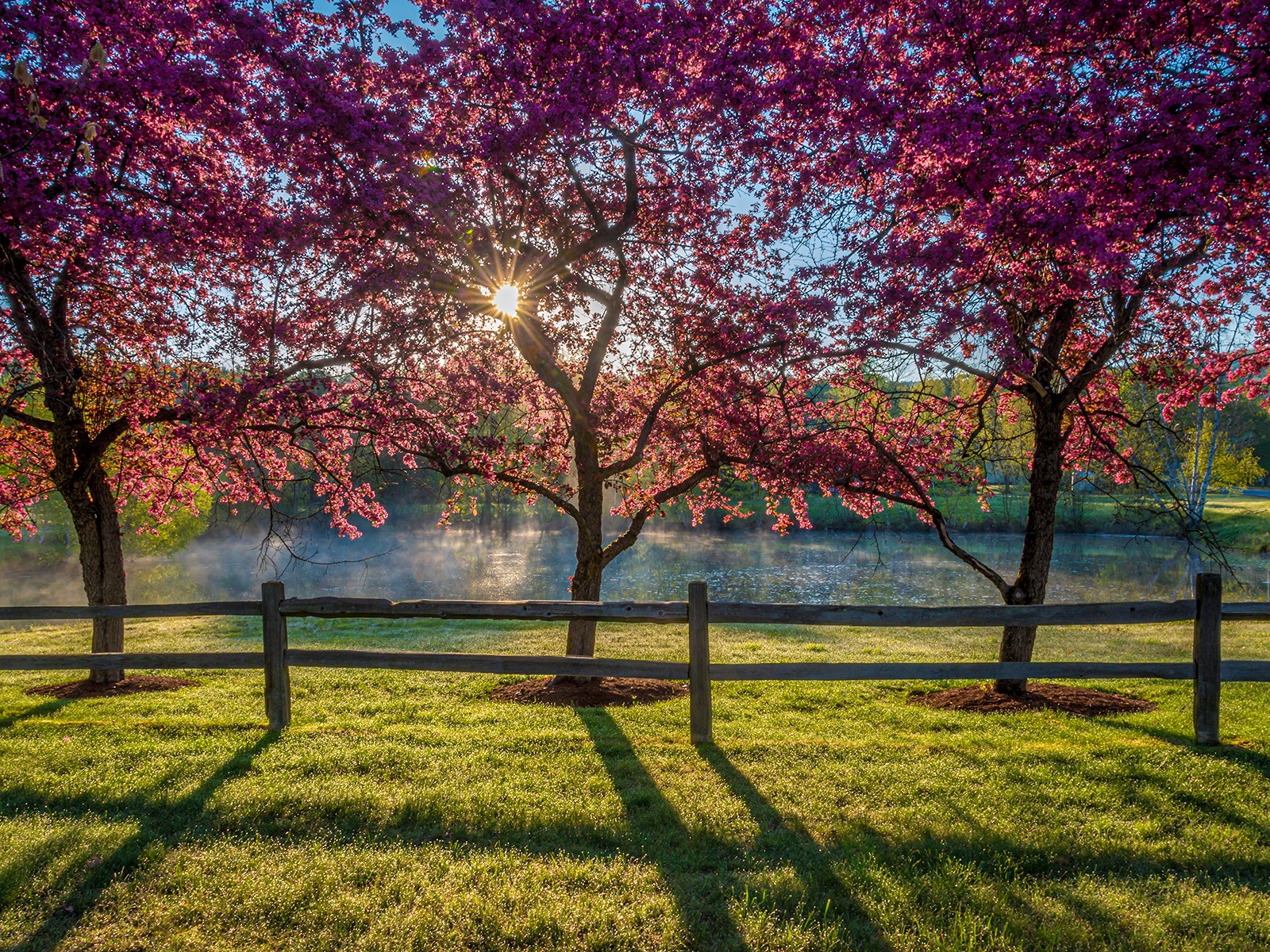 What’s most important to you in life?