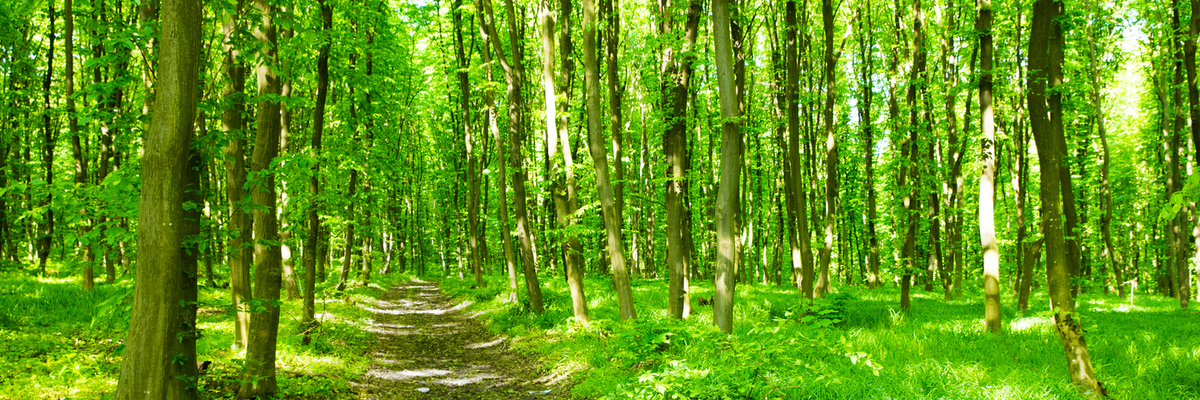 Your Journey Starts Here