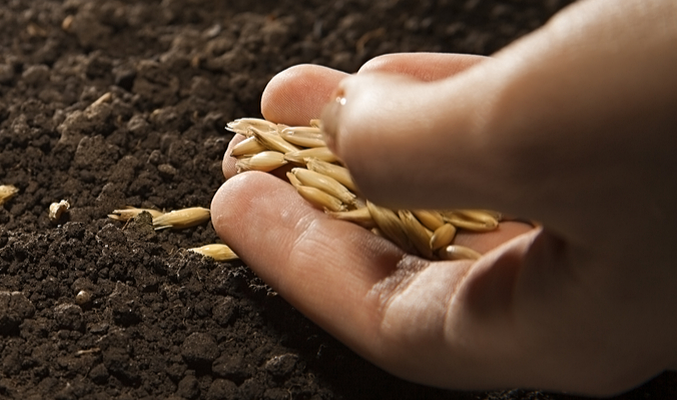 ... no copy here ...