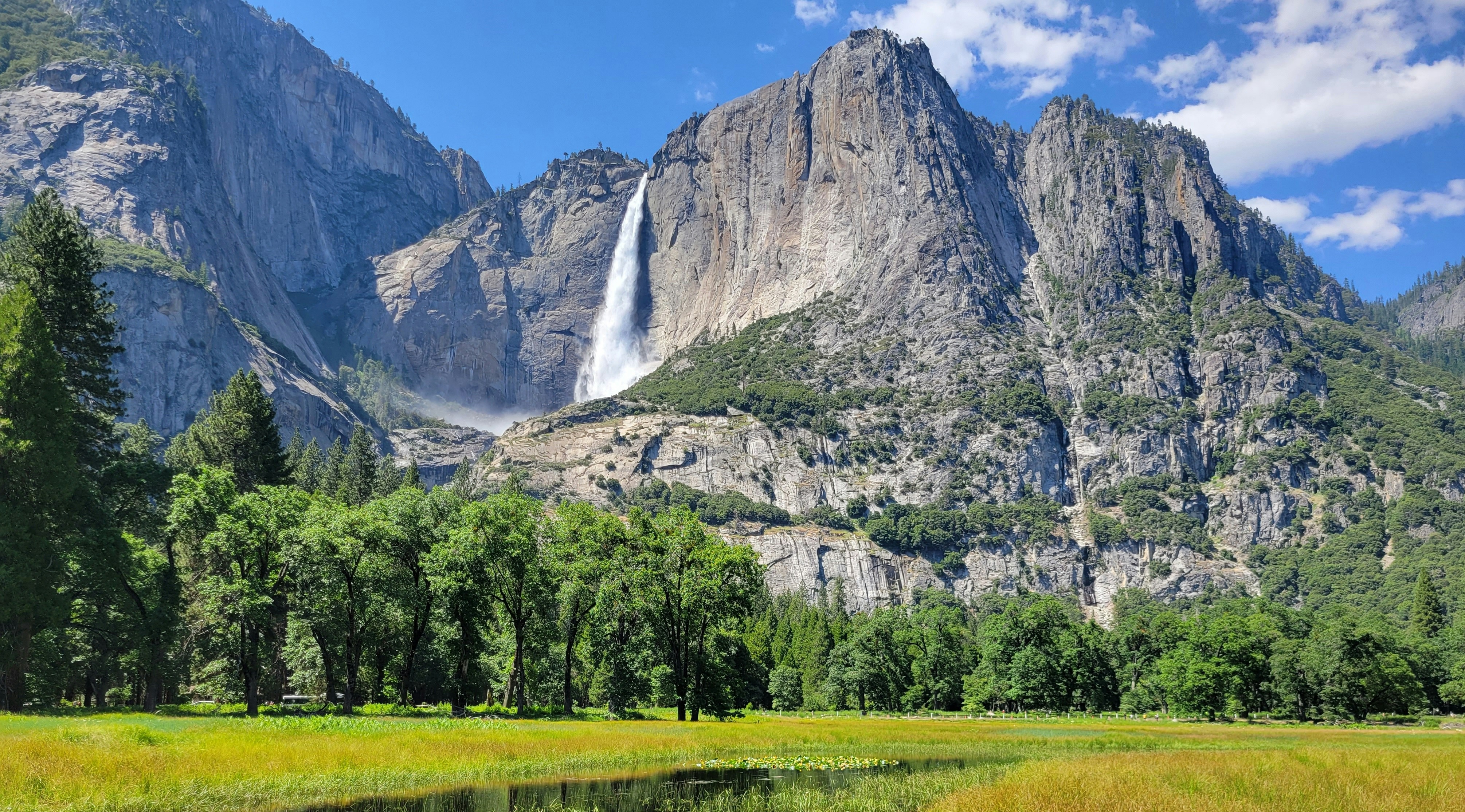 Comprehensive Services, Holistic Management