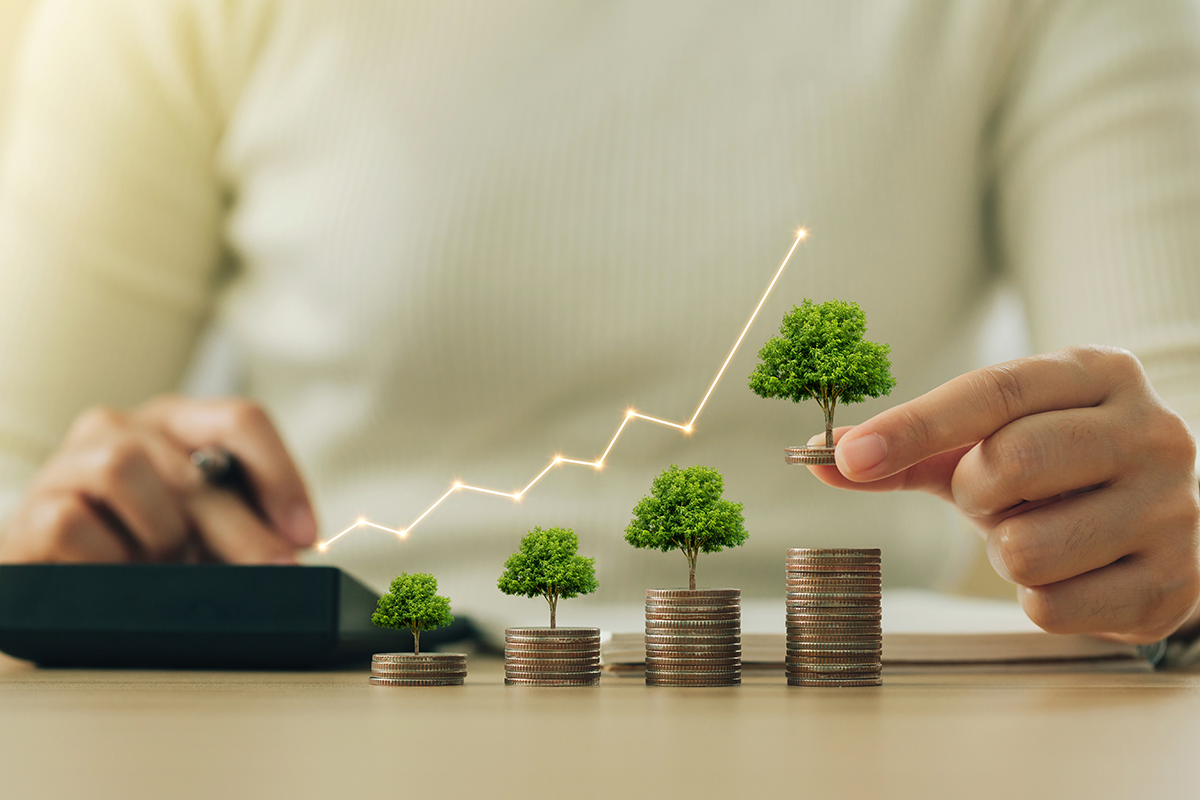  Investment Management