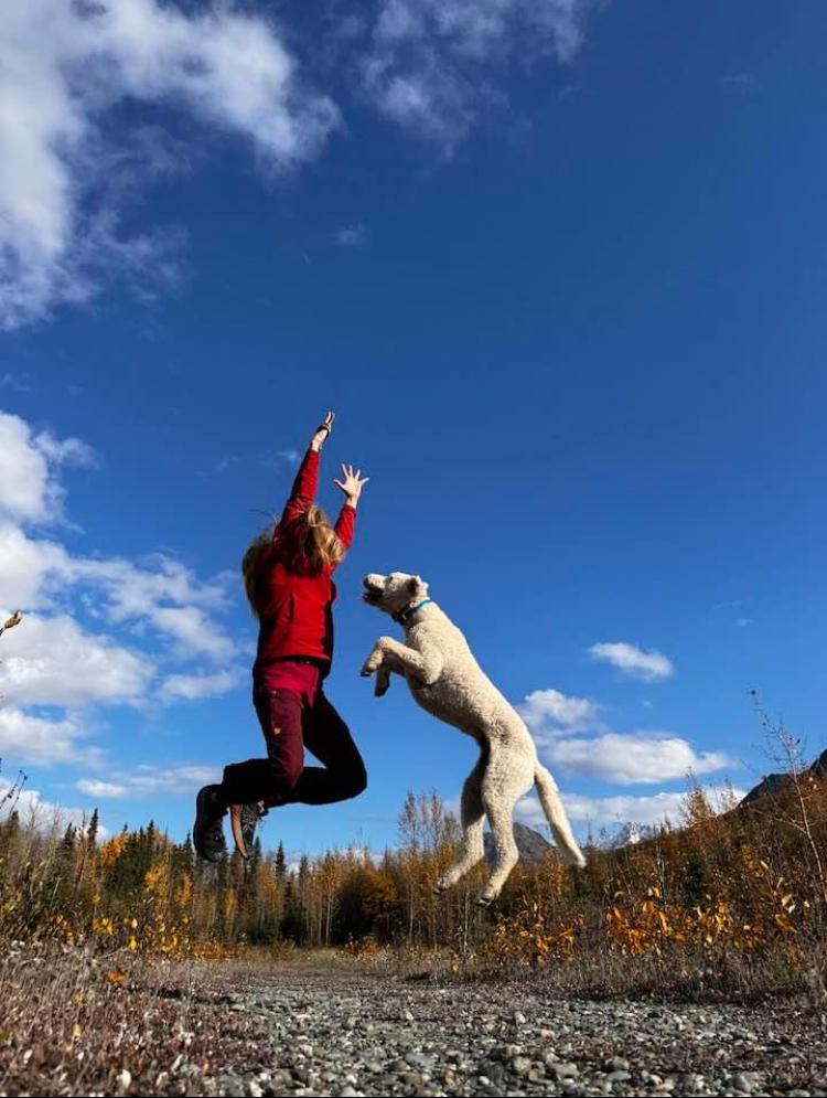 ... no copy here ...