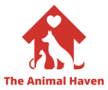 The Animal Haven