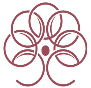 Personalized wealth management