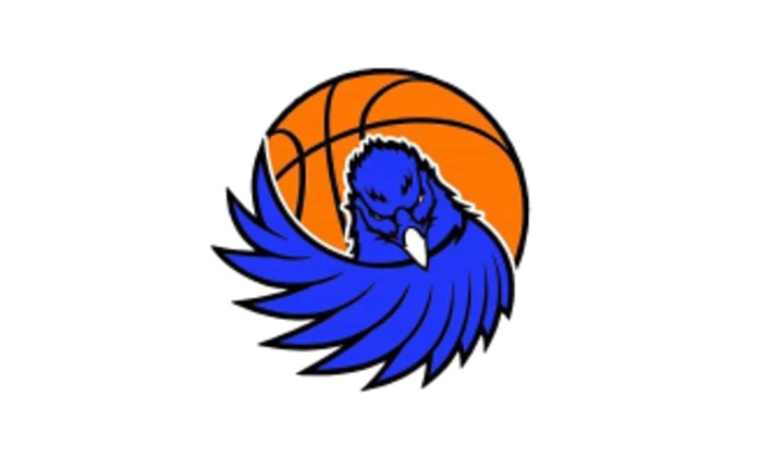 Falcon Youth Basketball Logo