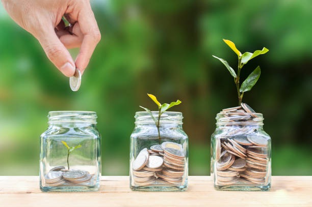 Dividend Wealth Mgmt.