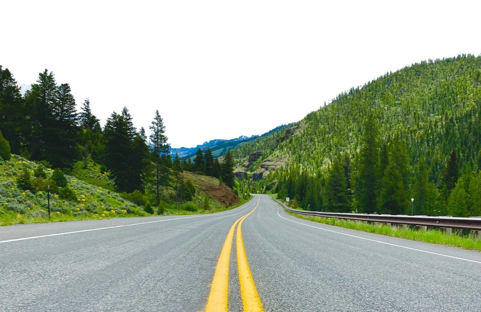 Specialized Guidance, Precise Direction