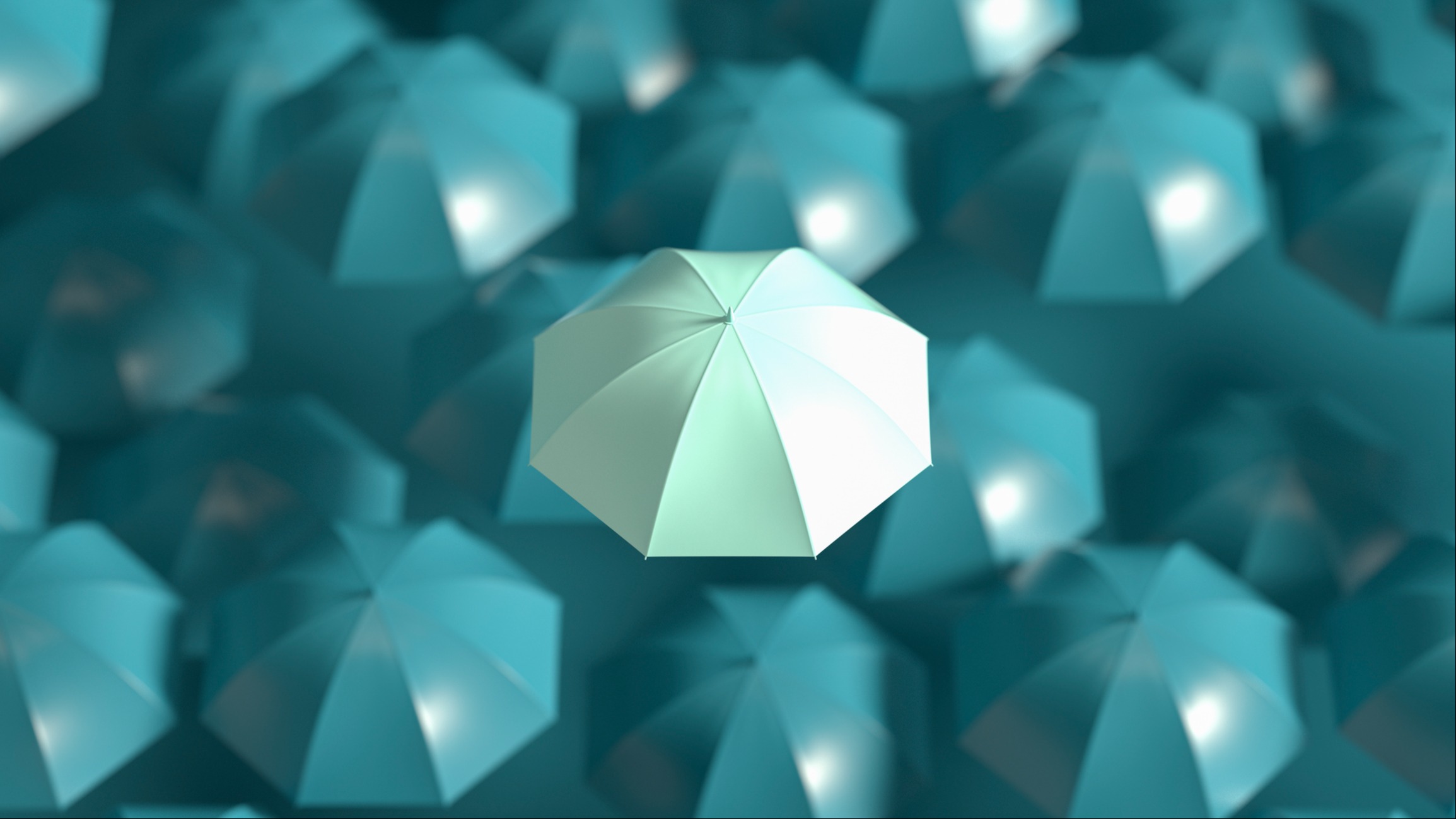 Insurance Planning