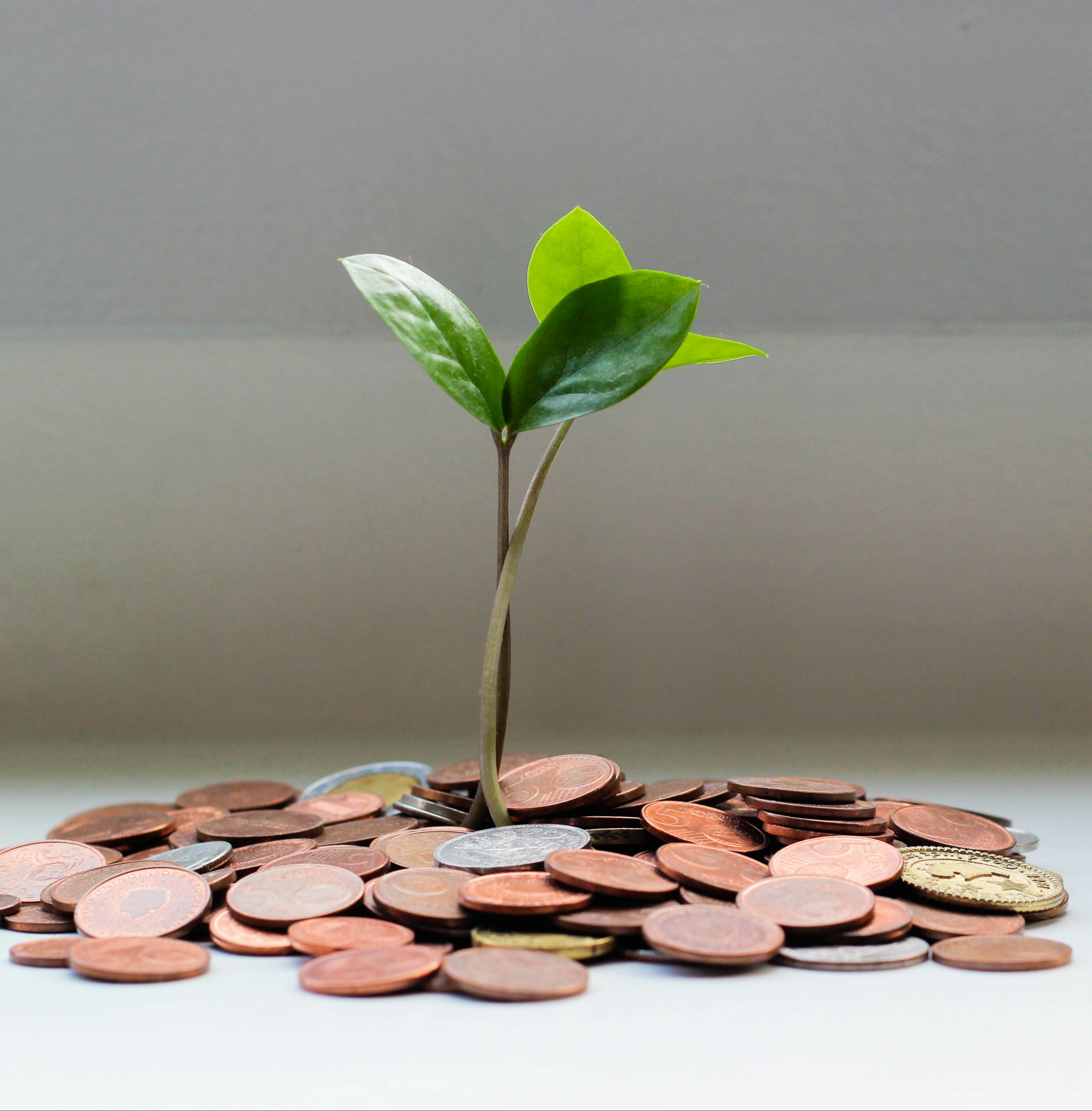 ... no copy here ...