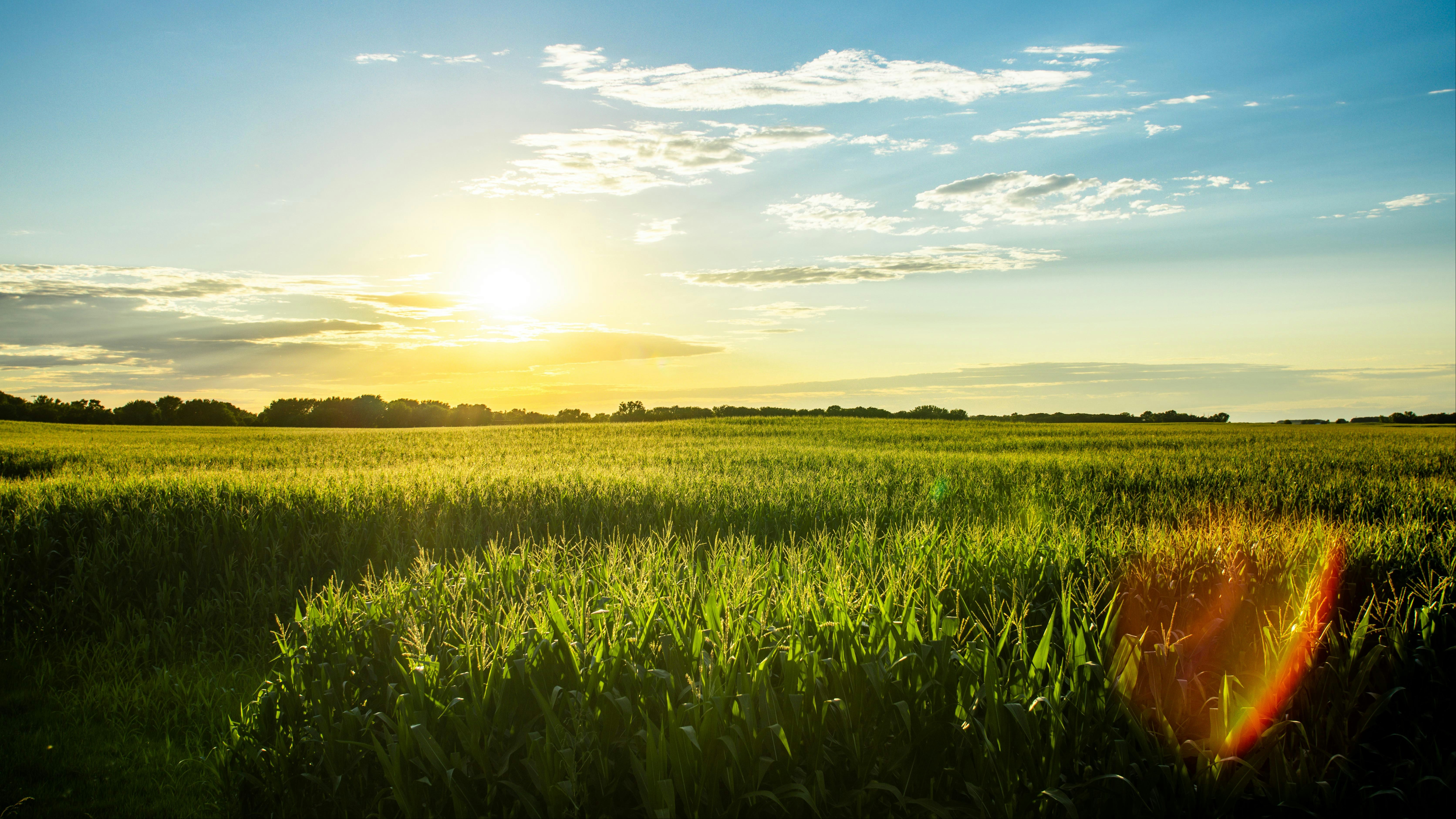 I’ve helped Sandusky, Seneca, and Hancock County residents pursue their financial goals for over two decades. I know how to help you reach yours.