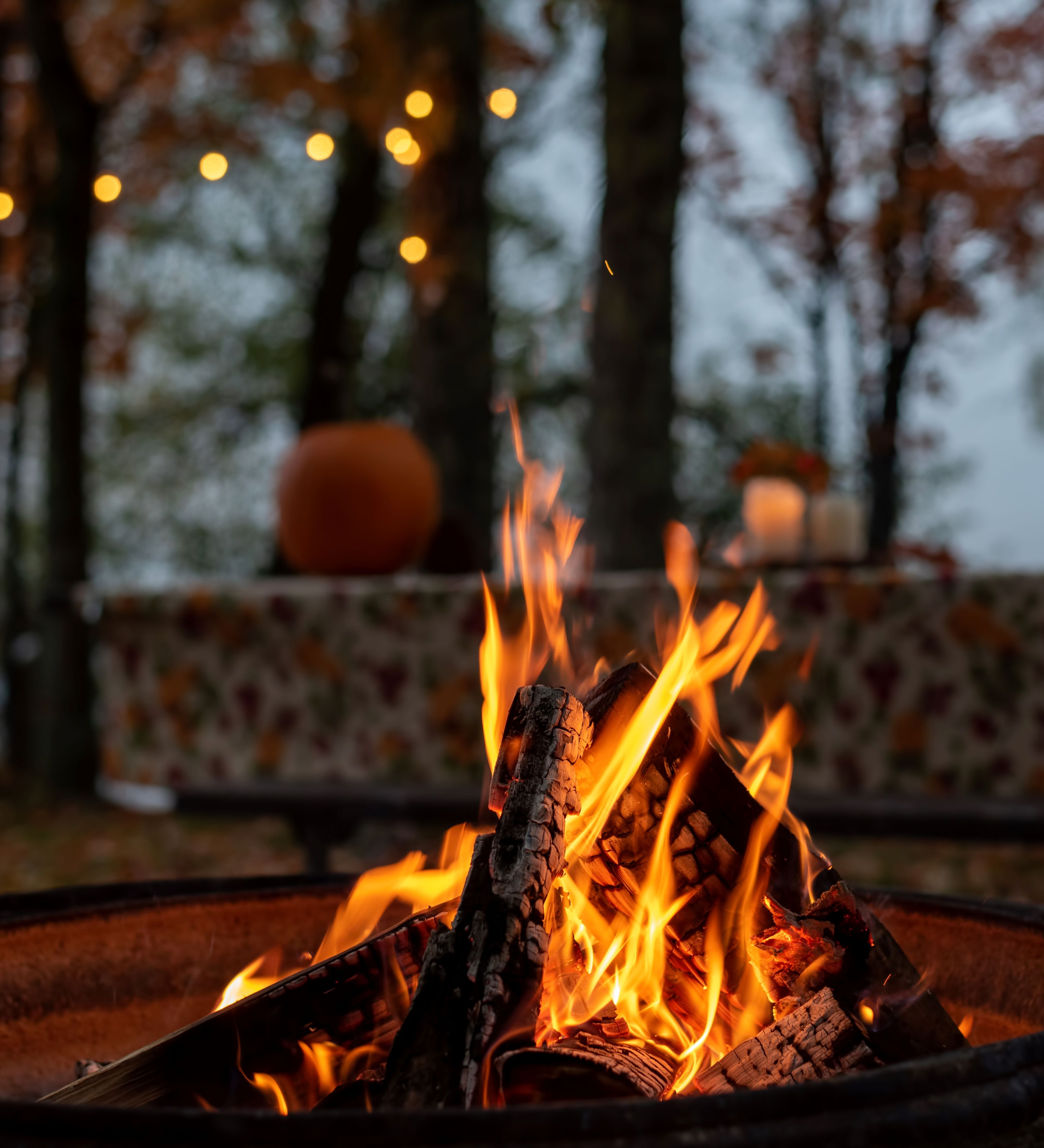 Our Insurance Solutions